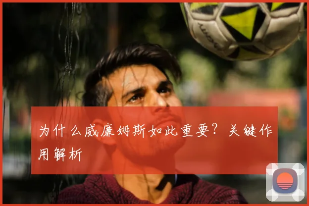为什么威廉姆斯如此重要？关键作用解析